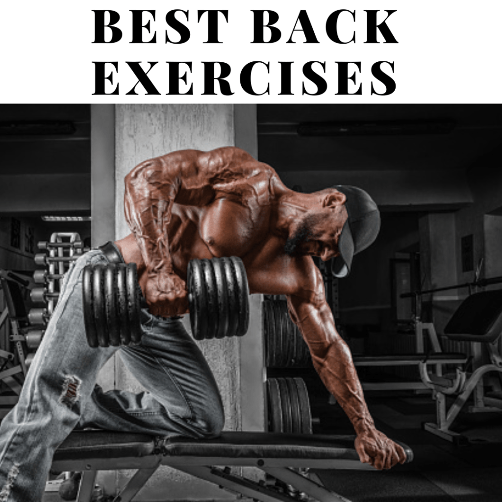 Best Back Exercises At Gym