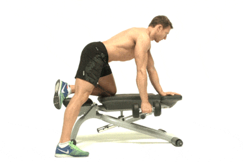 Best Back Exercises